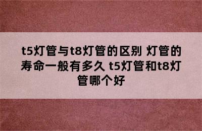 t5灯管与t8灯管的区别 灯管的寿命一般有多久 t5灯管和t8灯管哪个好